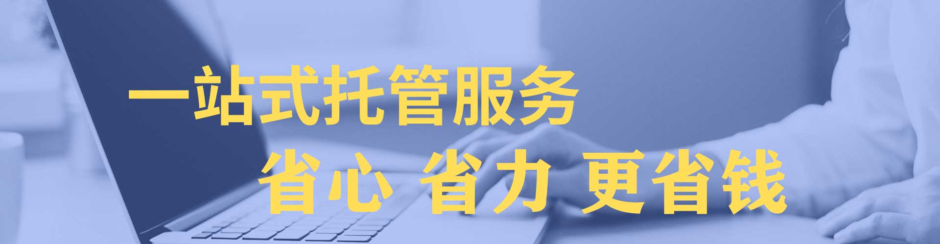 丰满竞价开户
